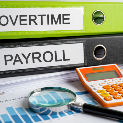 Payroll Services