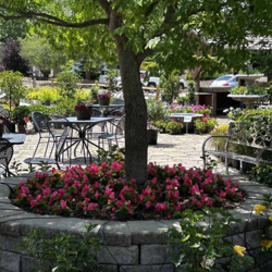 Frisella Nursery & Garden Center