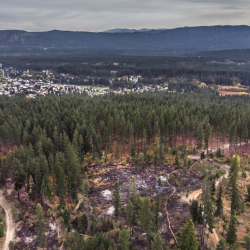 Community Wildfire Protection Plans (CWPP)