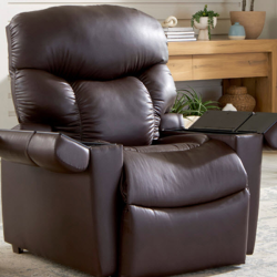 Power Lift Recliners
