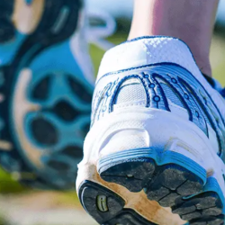 Foot and Ankle Surgery