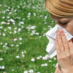 Allergy and Immunology