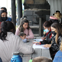 Legalizations / Apostille