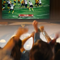 Bar and Restaurant Packages