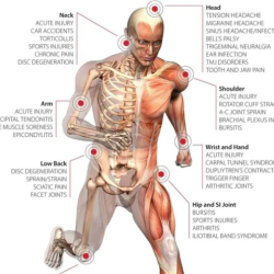 Functional Medicine and Chiropractic