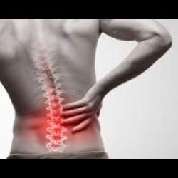 Spine Pain