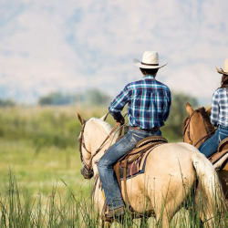 Community Partnership Grants