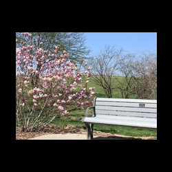 Walking Trail