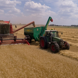 Consulting & Advisory