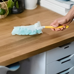 Business Cleaning