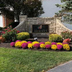 Seasonal Plantings