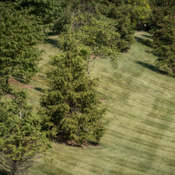 Water Management Services