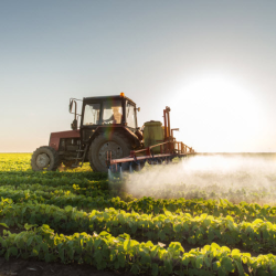 Farm and Ranch Insurance