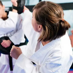 Adult Martial Arts Classes