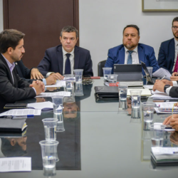 Legalization Inquiry