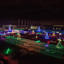 Join in on the Magic