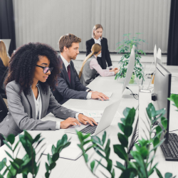 Business Environment