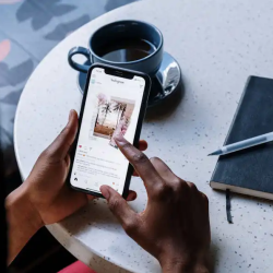 Social Media Management