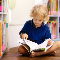 Reading Rooms Program