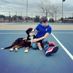 Injury Recovery