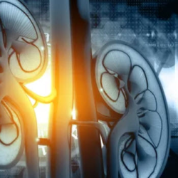 Dialysis Appointments