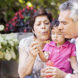 Life Insurance
