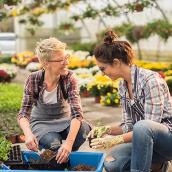 Immediate Income Annuities