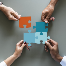 Coalition and Collaborative Support