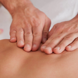 Massage Therapy