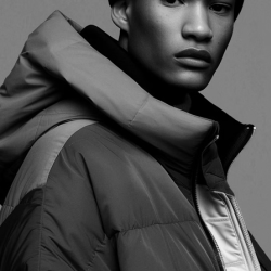 Digital Storytelling, SEO+Brand Development