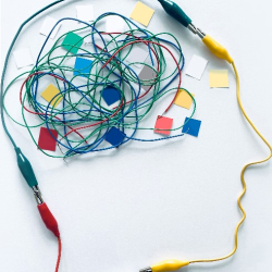 Brain Mapping & Neurofeedback
