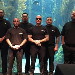 Uniformed / Armed Security Services