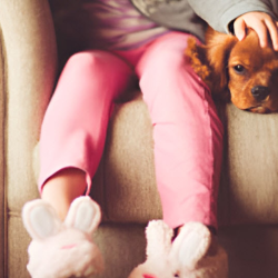 Animal-Assisted Counseling