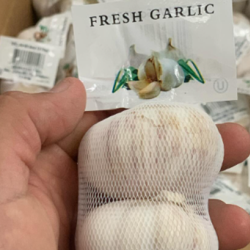 Fresh Garlic