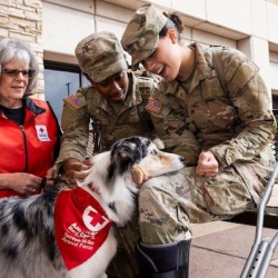 Support Military Families