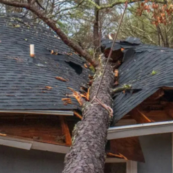 Emergency Roof Repairs