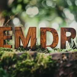 Eye Movement Desensitization & Reprocessing (EMDR)