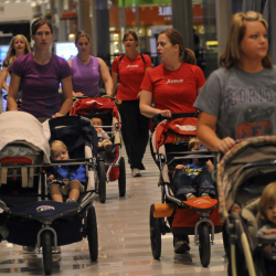 Stroller Rental