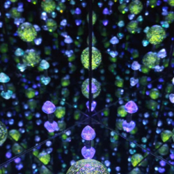 Design & Visual Communication