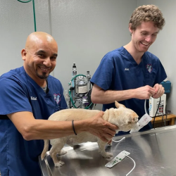 Specialty Surgical Services