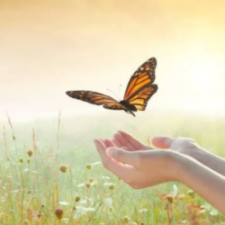 The Clarity Catalyst: Your 10-Session Mindset Transformation