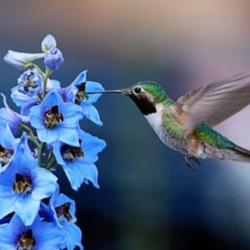 Your Ongoing Edge: Mindset Maintenance Program