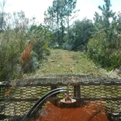 Land Clearing
