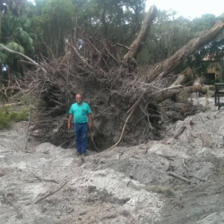 Heavy-Duty Brush Cutter up to 9