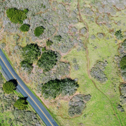 Land