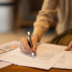 Business Formation & Maintenance