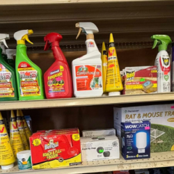 Essential Household