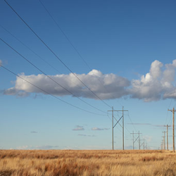 Wholesale & Retail Supply