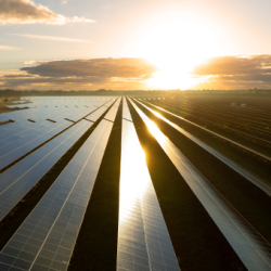 Utility-Scale Renewable Energy