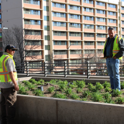 ​Landscape  Management
